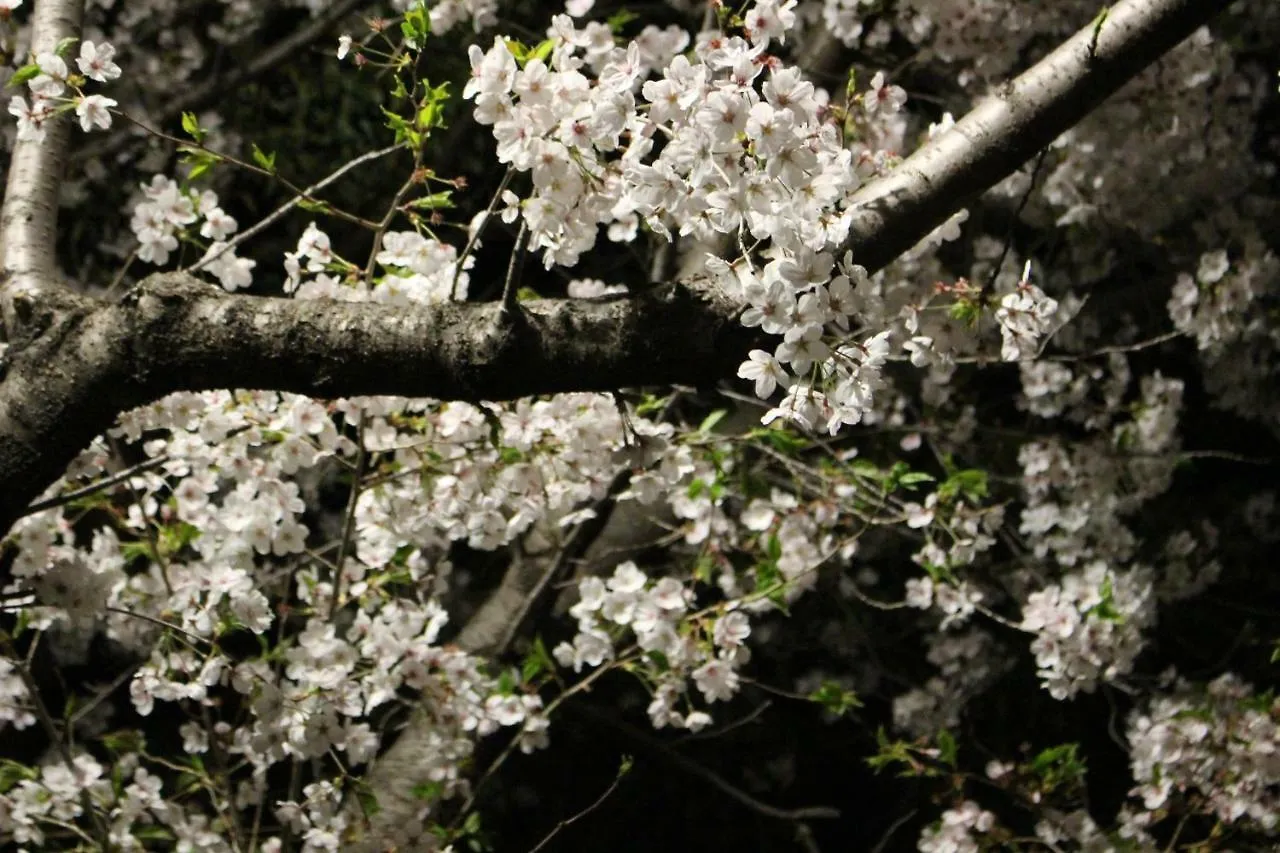 Laforet Tokaichi Daire Hiroşima Japonya